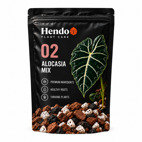 Hendo Plant Care 02 Alocasia Mix on white background