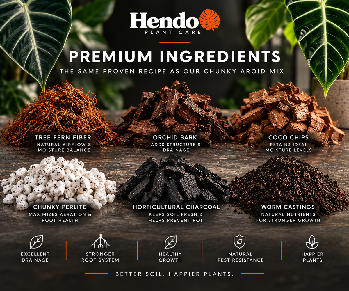 02 Alocasia Mix premium ingredients