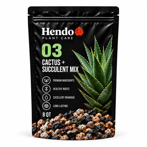 03 Cactus + Succulent Mix package